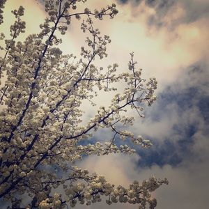 Meet your Posher, Anita